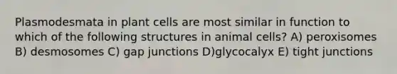 Plasmodesmata in plant cells are most similar in function to which of the following structures in animal cells? A) peroxisomes B) desmosomes C) gap junctions D)glycocalyx E) tight junctions