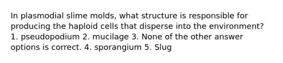 In plasmodial slime molds, what structure is responsible for producing the haploid cells that disperse into the environment? 1. pseudopodium 2. mucilage 3. None of the other answer options is correct. 4. sporangium 5. Slug