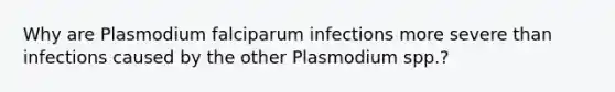 Why are Plasmodium falciparum infections more severe than infections caused by the other Plasmodium spp.?