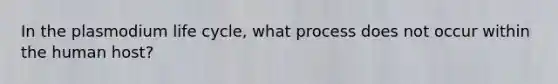 In the plasmodium life cycle, what process does not occur within the human host?