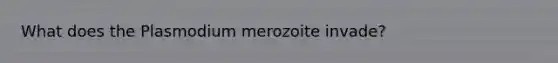 What does the Plasmodium merozoite invade?