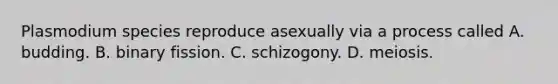 Plasmodium species reproduce asexually via a process called A. budding. B. binary fission. C. schizogony. D. meiosis.