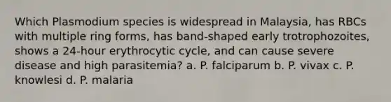 Which Plasmodium species is widespread in Malaysia, has RBCs with multiple ring forms, has band-shaped early trotrophozoites, shows a 24-hour erythrocytic cycle, and can cause severe disease and high parasitemia? a. P. falciparum b. P. vivax c. P. knowlesi d. P. malaria