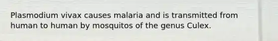 Plasmodium vivax causes malaria and is transmitted from human to human by mosquitos of the genus Culex.