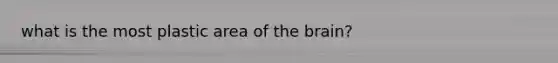 what is the most plastic area of the brain?