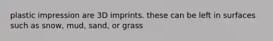 plastic impression are 3D imprints. these can be left in surfaces such as snow, mud, sand, or grass