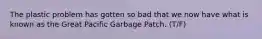 The plastic problem has gotten so bad that we now have what is known as the Great Pacific Garbage Patch. (T/F)