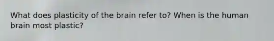 What does plasticity of the brain refer to? When is the human brain most plastic?