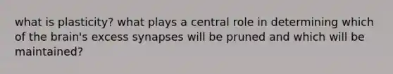 what is plasticity? what plays a central role in determining which of the brain's excess synapses will be pruned and which will be maintained?
