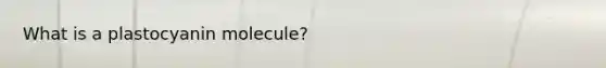 What is a plastocyanin molecule?