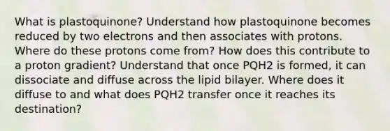 What is plastoquinone? Understand how plastoquinone becomes reduced by two electrons and then associates with protons. Where do these protons come from? How does this contribute to a proton gradient? Understand that once PQH2 is formed, it can dissociate and diffuse across the lipid bilayer. Where does it diffuse to and what does PQH2 transfer once it reaches its destination?