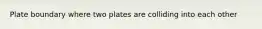 Plate boundary where two plates are colliding into each other