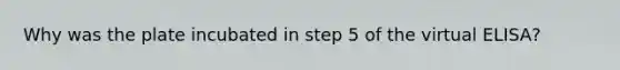 Why was the plate incubated in step 5 of the virtual ELISA?