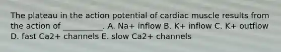 The plateau in the action potential of cardiac muscle results from the action of __________. A. Na+ inflow B. K+ inflow C. K+ outflow D. fast Ca2+ channels E. slow Ca2+ channels