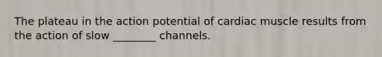 The plateau in the action potential of cardiac muscle results from the action of slow ________ channels.