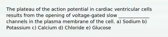 The plateau of the action potential in cardiac ventricular cells results from the opening of voltage-gated slow _____________ channels in the plasma membrane of the cell. a) Sodium b) Potassium c) Calcium d) Chloride e) Glucose