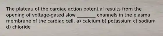 The plateau of the cardiac action potential results from the opening of voltage-gated slow ________ channels in the plasma membrane of the cardiac cell. a) calcium b) potassium c) sodium d) chloride