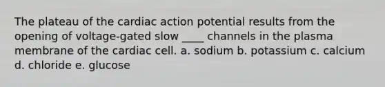 The plateau of the cardiac action potential results from the opening of voltage-gated slow ____ channels in the plasma membrane of the cardiac cell. a. sodium b. potassium c. calcium d. chloride e. glucose