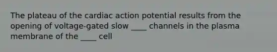 The plateau of the cardiac action potential results from the opening of voltage-gated slow ____ channels in the plasma membrane of the ____ cell