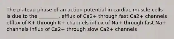 The plateau phase of an action potential in cardiac muscle cells is due to the ________. efflux of Ca2+ through fast Ca2+ channels efflux of K+ through K+ channels influx of Na+ through fast Na+ channels influx of Ca2+ through slow Ca2+ channels