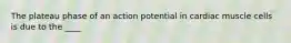 The plateau phase of an action potential in cardiac muscle cells is due to the ____