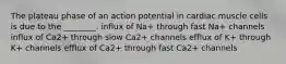 The plateau phase of an action potential in cardiac muscle cells is due to the ________. influx of Na+ through fast Na+ channels influx of Ca2+ through slow Ca2+ channels efflux of K+ through K+ channels efflux of Ca2+ through fast Ca2+ channels