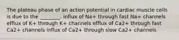 The plateau phase of an action potential in cardiac muscle cells is due to the ________. influx of Na+ through fast Na+ channels efflux of K+ through K+ channels efflux of Ca2+ through fast Ca2+ channels influx of Ca2+ through slow Ca2+ channels