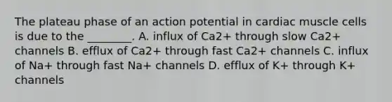 The plateau phase of an action potential in cardiac muscle cells is due to the ________. A. influx of Ca2+ through slow Ca2+ channels B. efflux of Ca2+ through fast Ca2+ channels C. influx of Na+ through fast Na+ channels D. efflux of K+ through K+ channels