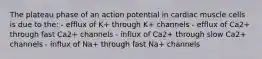 The plateau phase of an action potential in cardiac muscle cells is due to the: - efflux of K+ through K+ channels - efflux of Ca2+ through fast Ca2+ channels - influx of Ca2+ through slow Ca2+ channels - influx of Na+ through fast Na+ channels