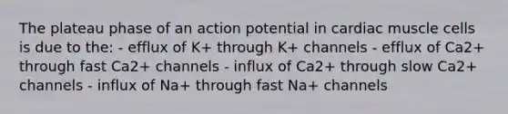 The plateau phase of an action potential in cardiac muscle cells is due to the: - efflux of K+ through K+ channels - efflux of Ca2+ through fast Ca2+ channels - influx of Ca2+ through slow Ca2+ channels - influx of Na+ through fast Na+ channels