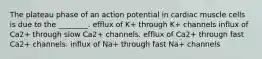 The plateau phase of an action potential in cardiac muscle cells is due to the ________. efflux of K+ through K+ channels influx of Ca2+ through slow Ca2+ channels. efflux of Ca2+ through fast Ca2+ channels. influx of Na+ through fast Na+ channels