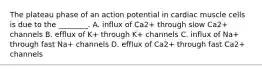 The plateau phase of an action potential in cardiac muscle cells is due to the ________. A. influx of Ca2+ through slow Ca2+ channels B. efflux of K+ through K+ channels C. influx of Na+ through fast Na+ channels D. efflux of Ca2+ through fast Ca2+ channels