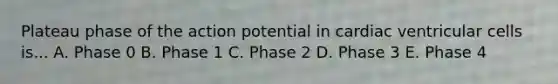 Plateau phase of the action potential in cardiac ventricular cells is... A. Phase 0 B. Phase 1 C. Phase 2 D. Phase 3 E. Phase 4