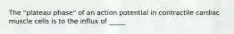 The "plateau phase" of an action potential in contractile cardiac muscle cells is to the influx of _____