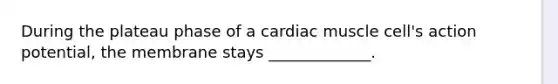 During the plateau phase of a cardiac muscle cell's action potential, the membrane stays _____________.