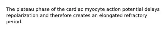 The plateau phase of the cardiac myocyte action potential delays repolarization and therefore creates an elongated refractory period.