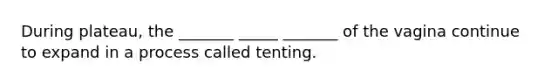 During plateau, the _______ _____ _______ of the vagina continue to expand in a process called tenting.