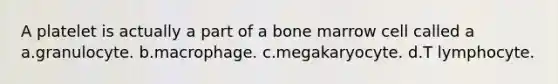 A platelet is actually a part of a bone marrow cell called a a.granulocyte. b.macrophage. c.megakaryocyte. d.T lymphocyte.