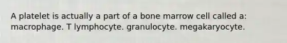 A platelet is actually a part of a bone marrow cell called a: macrophage. T lymphocyte. granulocyte. megakaryocyte.