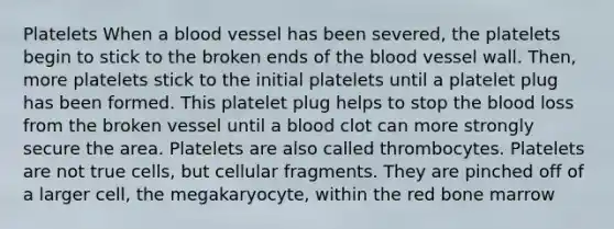 Platelets When a blood vessel has been severed, the platelets begin to stick to the broken ends of the blood vessel wall. Then, more platelets stick to the initial platelets until a platelet plug has been formed. This platelet plug helps to stop the blood loss from the broken vessel until a blood clot can more strongly secure the area. Platelets are also called thrombocytes. Platelets are not true cells, but cellular fragments. They are pinched off of a larger cell, the megakaryocyte, within the red bone marrow