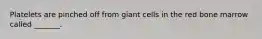 Platelets are pinched off from giant cells in the red bone marrow called _______.