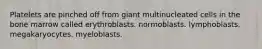 Platelets are pinched off from giant multinucleated cells in the bone marrow called erythroblasts. normoblasts. lymphoblasts. megakaryocytes. myeloblasts.