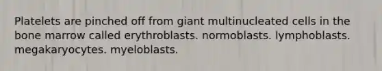 Platelets are pinched off from giant multinucleated cells in the bone marrow called erythroblasts. normoblasts. lymphoblasts. megakaryocytes. myeloblasts.