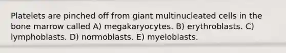 Platelets are pinched off from giant multinucleated cells in the bone marrow called A) megakaryocytes. B) erythroblasts. C) lymphoblasts. D) normoblasts. E) myeloblasts.