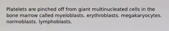 Platelets are pinched off from giant multinucleated cells in the bone marrow called myeloblasts. erythroblasts. megakaryocytes. normoblasts. lymphoblasts.