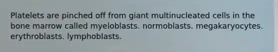 Platelets are pinched off from giant multinucleated cells in the bone marrow called myeloblasts. normoblasts. megakaryocytes. erythroblasts. lymphoblasts.