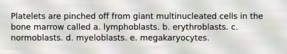 Platelets are pinched off from giant multinucleated cells in the bone marrow called a. lymphoblasts. b. erythroblasts. c. normoblasts. d. myeloblasts. e. megakaryocytes.