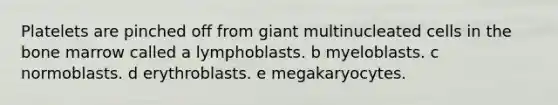 Platelets are pinched off from giant multinucleated cells in the bone marrow called a lymphoblasts. b myeloblasts. c normoblasts. d erythroblasts. e megakaryocytes.