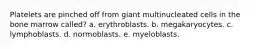 Platelets are pinched off from giant multinucleated cells in the bone marrow called? a. erythroblasts. b. megakaryocytes. c. lymphoblasts. d. normoblasts. e. myeloblasts.