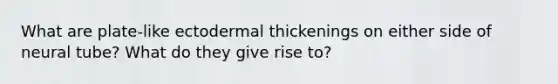 What are plate-like ectodermal thickenings on either side of neural tube? What do they give rise to?